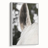 Rustic Wall Art - Close-Up Horse Ear Detail, Farmhouse Decor Print