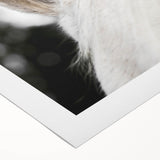 Rustic Wall Art - Close-Up Horse Ear Detail, Farmhouse Decor Print