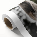 Rustic Wall Art - Close-Up Horse Ear Detail, Farmhouse Decor Print