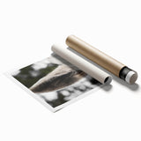 Rustic Wall Art - Close-Up Horse Ear Detail, Farmhouse Decor Print