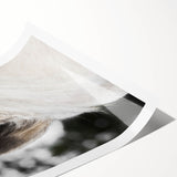 Rustic Wall Art - Close-Up Horse Ear Detail, Farmhouse Decor Print