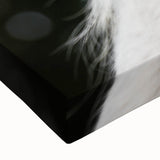 Rustic Wall Art - Close-Up Horse Ear Detail, Farmhouse Decor Print