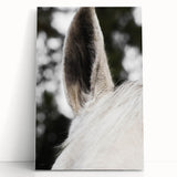 Rustic Wall Art - Close-Up Horse Ear Detail, Farmhouse Decor Print