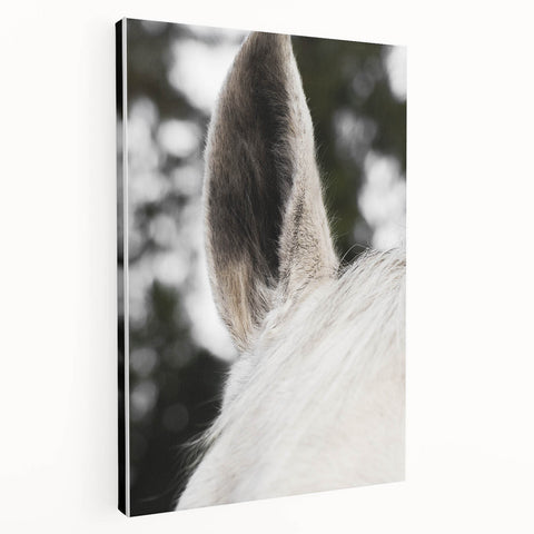 Rustic Wall Art - Close-Up Horse Ear Detail, Farmhouse Decor Print