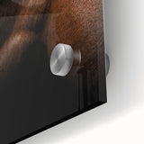 Rustic Wall Art - Close-Up Horse Mane & Coat, Farmhouse Decor Print