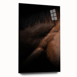 Rustic Wall Art - Close-Up Horse Mane & Coat, Farmhouse Decor Print