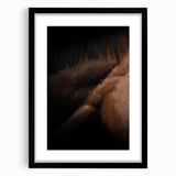 Rustic Wall Art - Close-Up Horse Mane & Coat, Farmhouse Decor Print