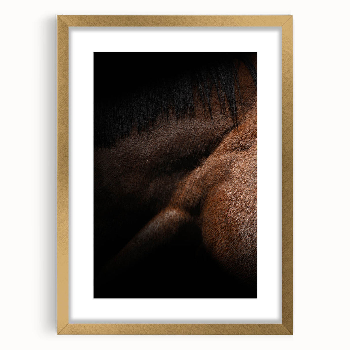 Rustic Wall Art - Close-Up Horse Mane & Coat, Farmhouse Decor Print