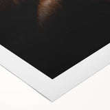 Rustic Wall Art - Close-Up Horse Mane & Coat, Farmhouse Decor Print