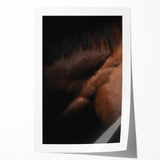 Rustic Wall Art - Close-Up Horse Mane & Coat, Farmhouse Decor Print