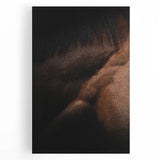 Rustic Wall Art - Close-Up Horse Mane & Coat, Farmhouse Decor Print