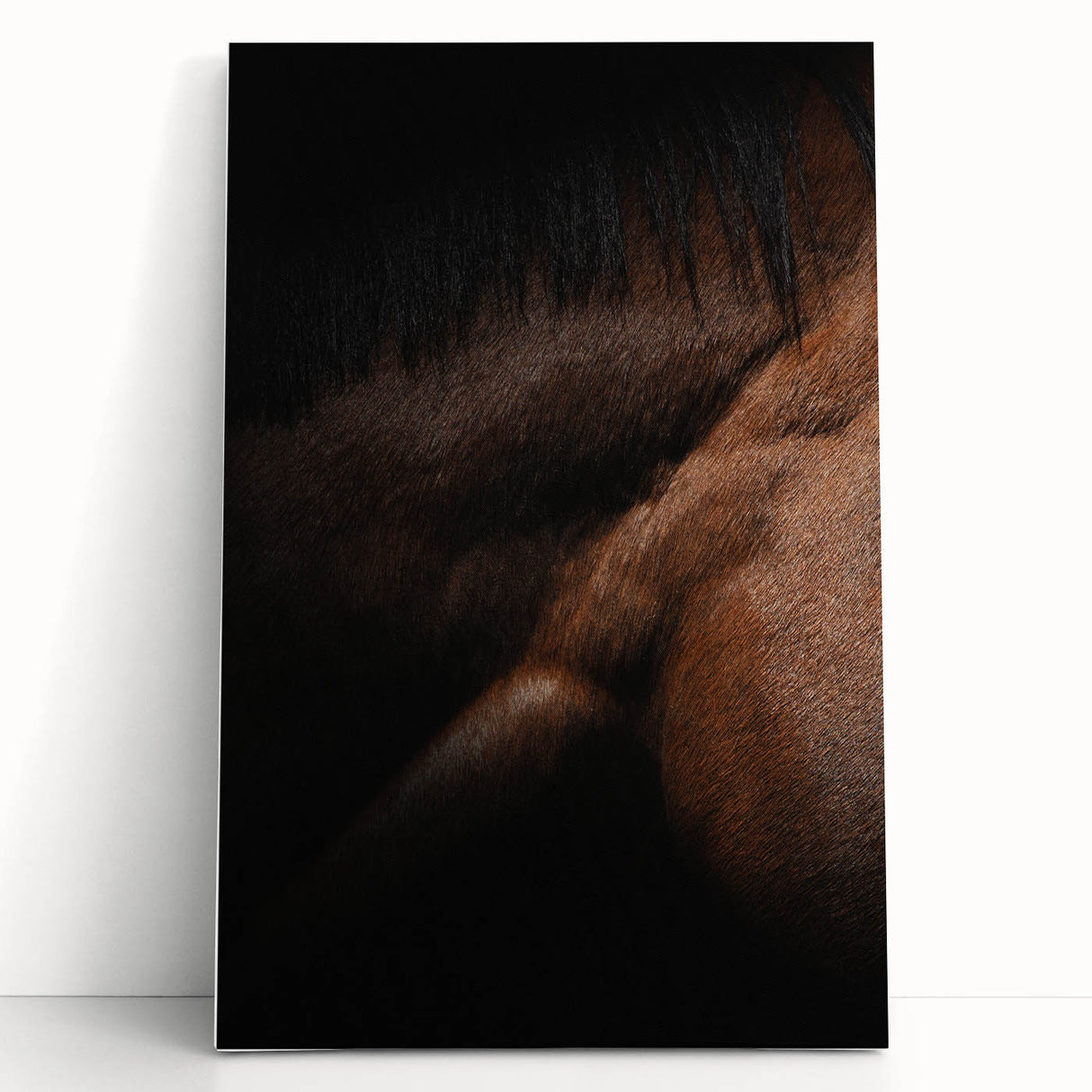 Rustic Wall Art - Close-Up Horse Mane & Coat, Farmhouse Decor Print