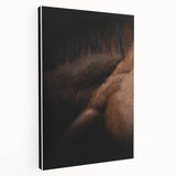 Rustic Wall Art - Close-Up Horse Mane & Coat, Farmhouse Decor Print