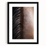Rustic Wall Art - Horse Mane Texture Close-Up, Farmhouse Decor Print