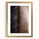 Rustic Wall Art - Horse Mane Texture Close-Up, Farmhouse Decor Print