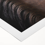 Rustic Wall Art - Horse Mane Texture Close-Up, Farmhouse Decor Print