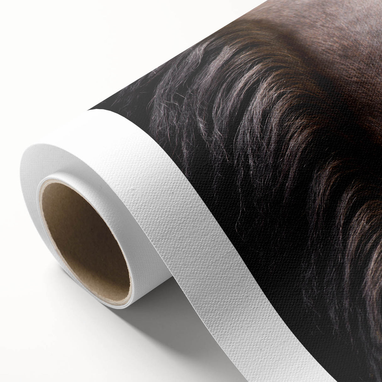 Rustic Wall Art - Horse Mane Texture Close-Up, Farmhouse Decor Print
