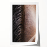 Rustic Wall Art - Horse Mane Texture Close-Up, Farmhouse Decor Print