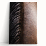 Rustic Wall Art - Horse Mane Texture Close-Up, Farmhouse Decor Print