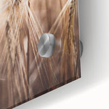 Golden Wheat Field Close-Up, Rustic Country Wall Art