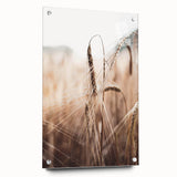 Golden Wheat Field Close-Up, Rustic Country Wall Art