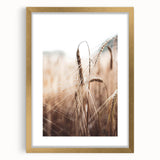Golden Wheat Field Close-Up, Rustic Country Wall Art