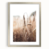 Golden Wheat Field Close-Up, Rustic Country Wall Art