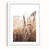 Golden Wheat Field Close-Up, Rustic Country Wall Art