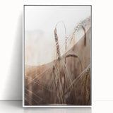 Golden Wheat Field Close-Up, Rustic Country Wall Art