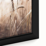 Golden Wheat Field Close-Up, Rustic Country Wall Art