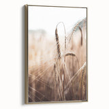 Golden Wheat Field Close-Up, Rustic Country Wall Art
