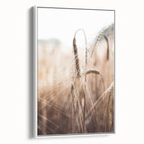 Golden Wheat Field Close-Up, Rustic Country Wall Art
