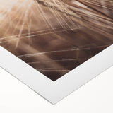 Golden Wheat Field Close-Up, Rustic Country Wall Art