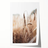 Golden Wheat Field Close-Up, Rustic Country Wall Art