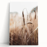 Golden Wheat Field Close-Up, Rustic Country Wall Art