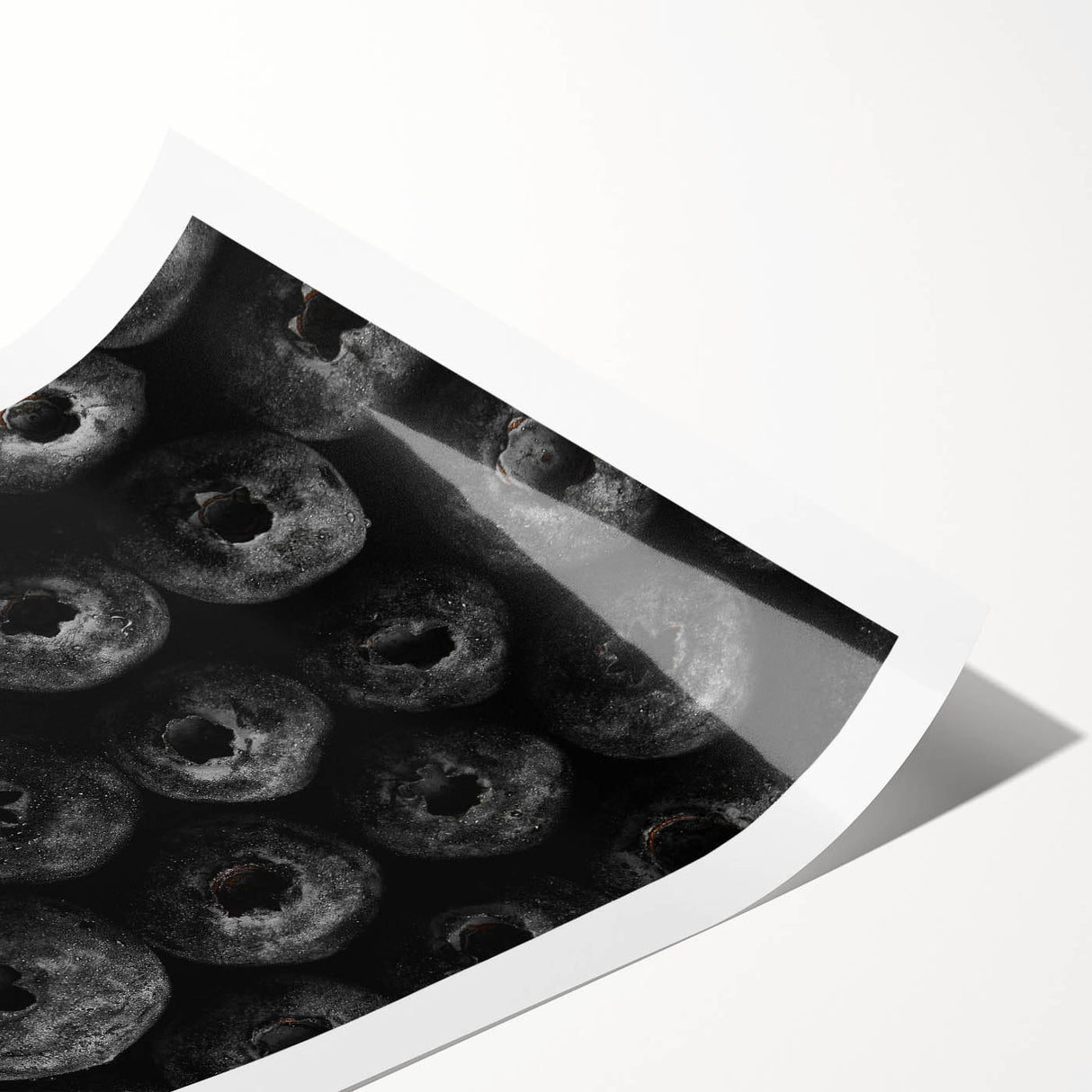 Rustic Wall Art - Black and White Blueberry Texture, Farmhouse Decor