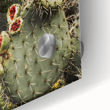 Rustic Wall Art - Prickly Pear Cactus with Red Fruit, Farmhouse Decor