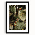Rustic Wall Art - Prickly Pear Cactus with Red Fruit, Farmhouse Decor
