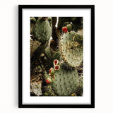 Rustic Wall Art - Prickly Pear Cactus with Red Fruit, Farmhouse Decor