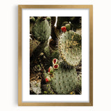 Rustic Wall Art - Prickly Pear Cactus with Red Fruit, Farmhouse Decor