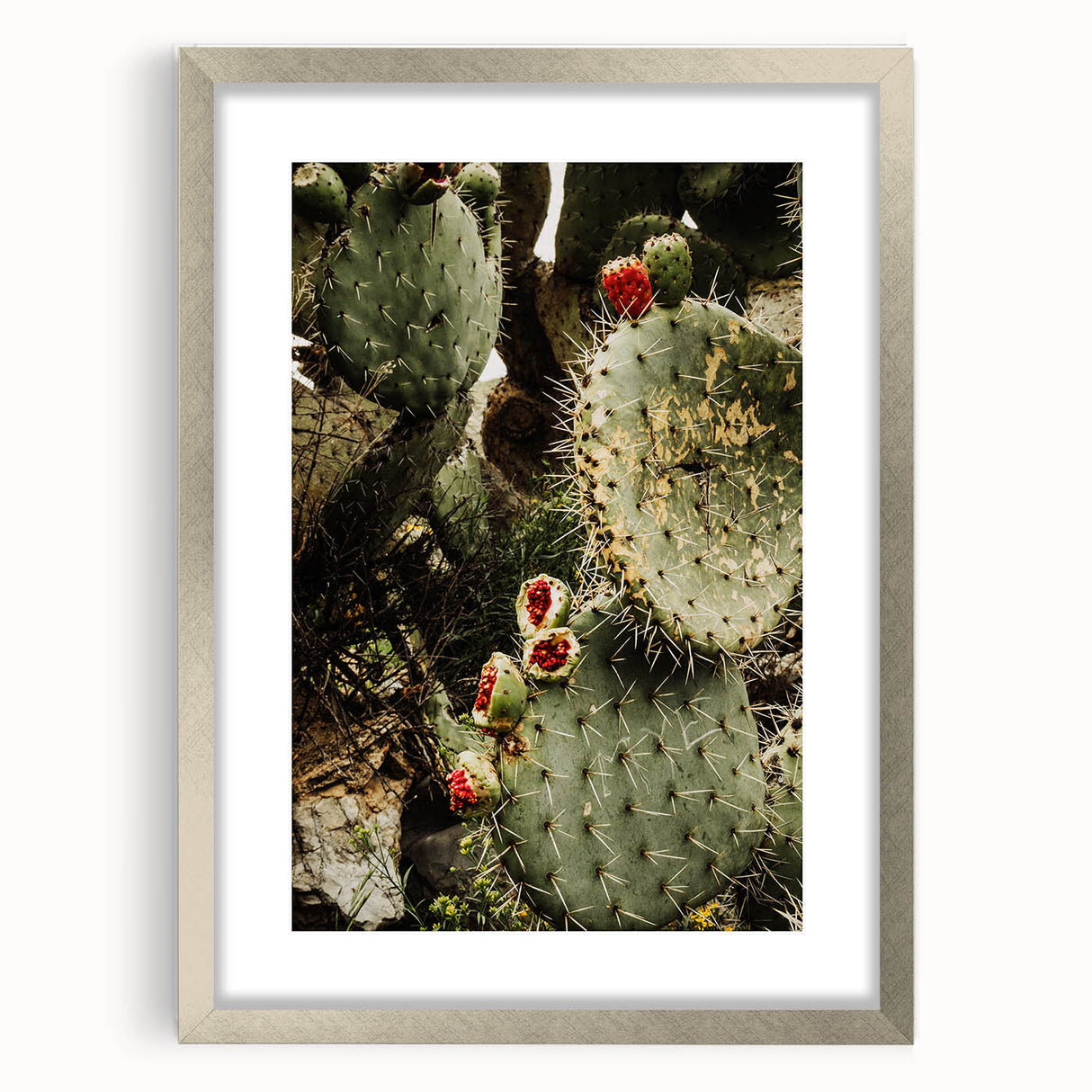 Rustic Wall Art - Prickly Pear Cactus with Red Fruit, Farmhouse Decor