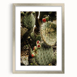 Rustic Wall Art - Prickly Pear Cactus with Red Fruit, Farmhouse Decor