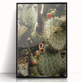 Rustic Wall Art - Prickly Pear Cactus with Red Fruit, Farmhouse Decor