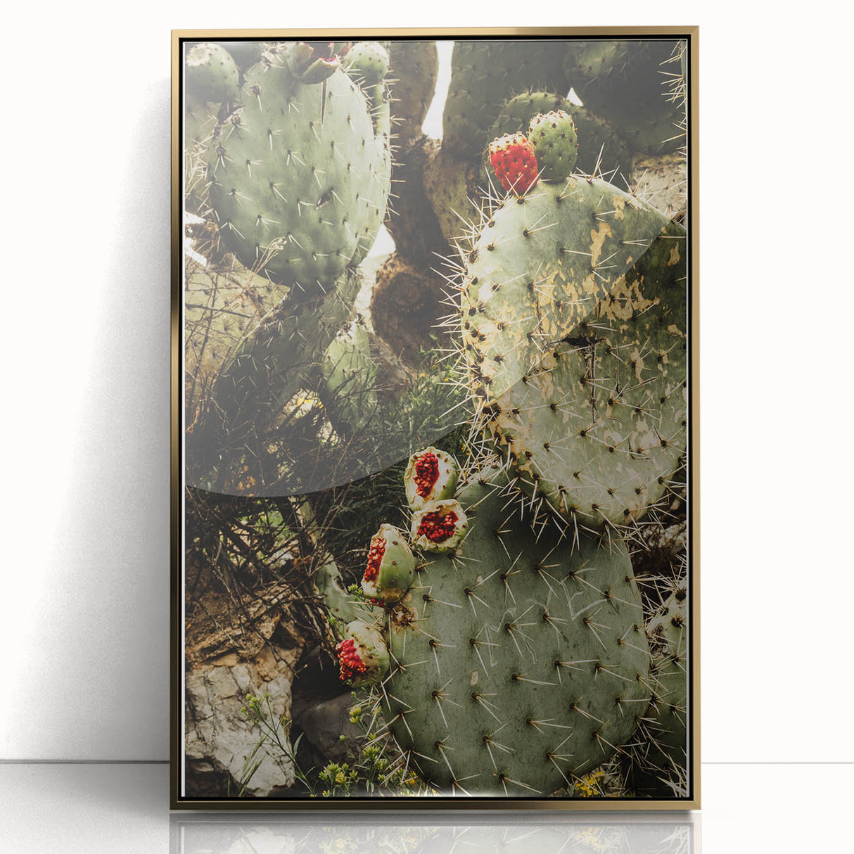 Rustic Wall Art - Prickly Pear Cactus with Red Fruit, Farmhouse Decor