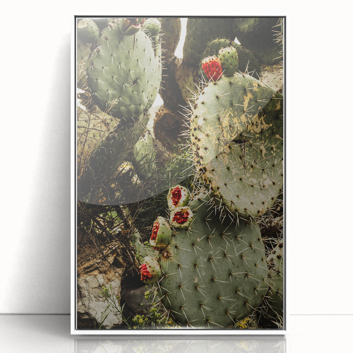 Rustic Wall Art - Prickly Pear Cactus with Red Fruit, Farmhouse Decor