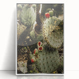 Rustic Wall Art - Prickly Pear Cactus with Red Fruit, Farmhouse Decor