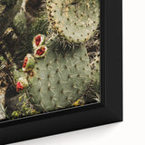 Rustic Wall Art - Prickly Pear Cactus with Red Fruit, Farmhouse Decor