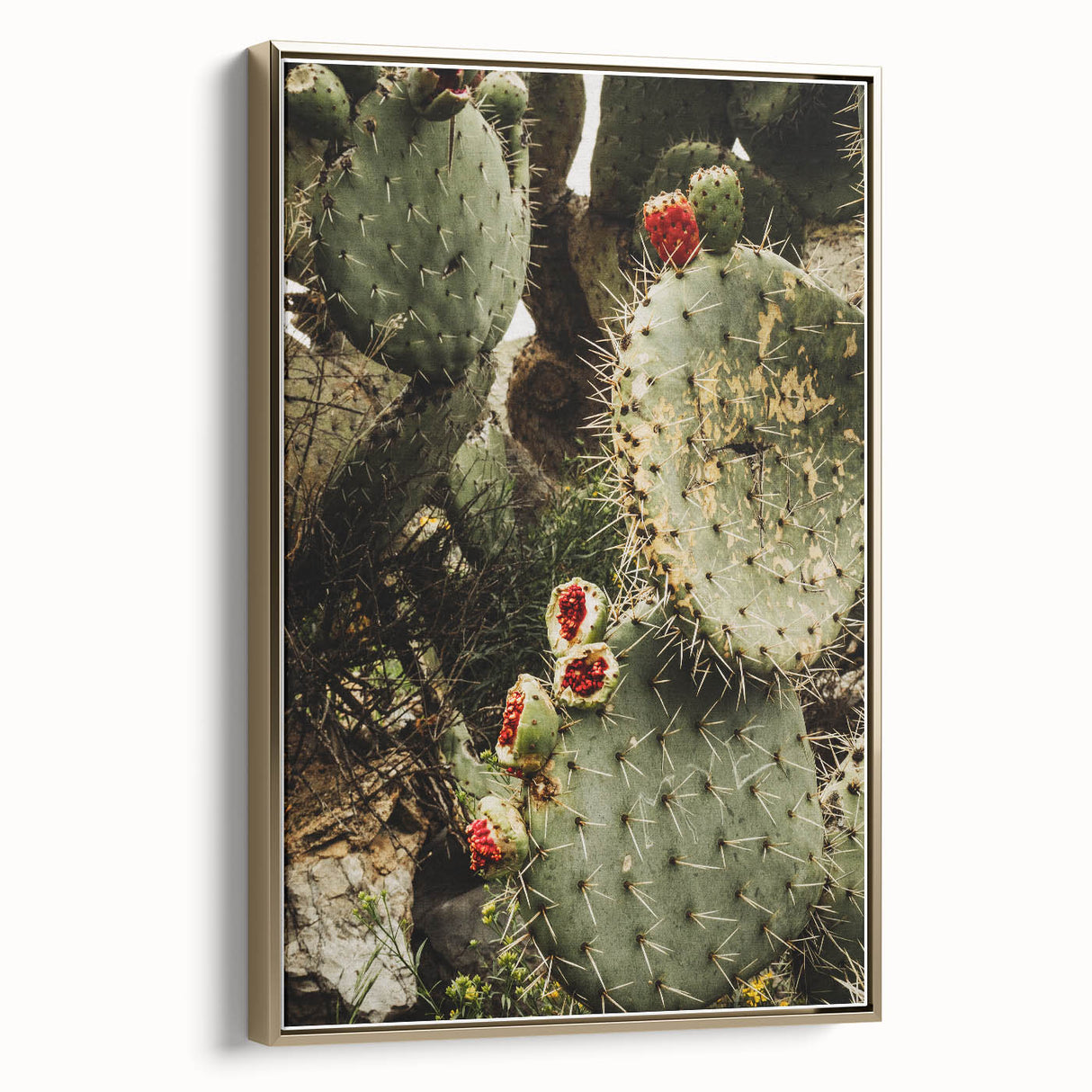 Rustic Wall Art - Prickly Pear Cactus with Red Fruit, Farmhouse Decor
