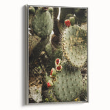 Rustic Wall Art - Prickly Pear Cactus with Red Fruit, Farmhouse Decor