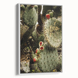 Rustic Wall Art - Prickly Pear Cactus with Red Fruit, Farmhouse Decor